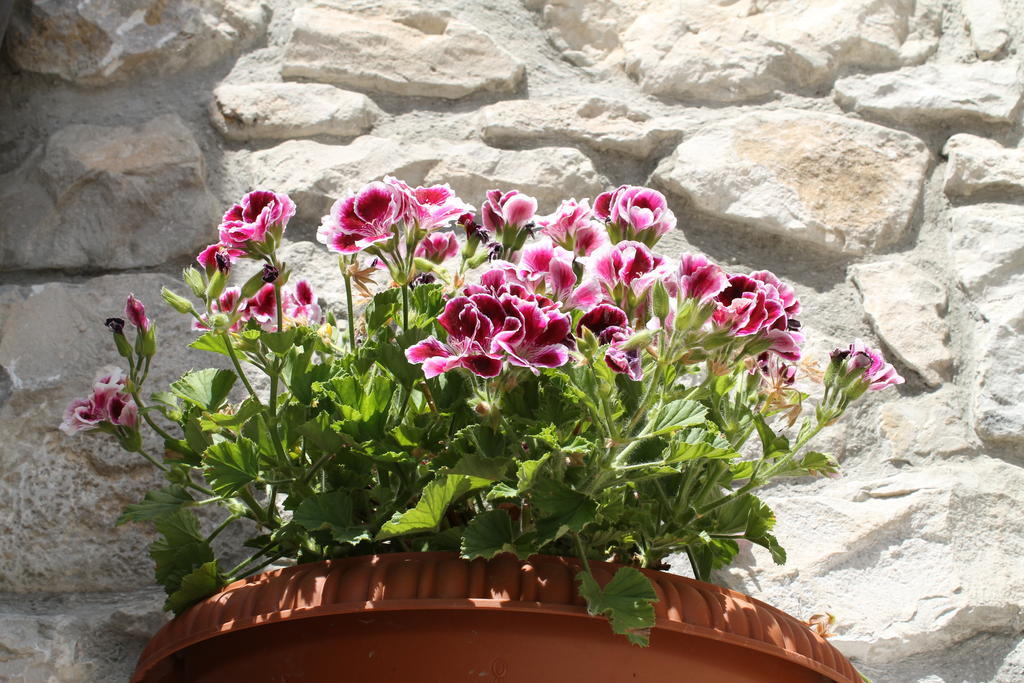 Casa Vacanze Caccamo Santa Lucia Bagian luar foto